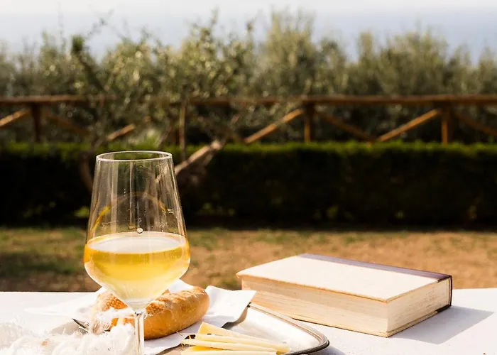 Amira Bed and Breakfast