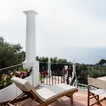 B&B Amira